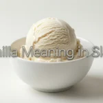 What Does Vanilla Mean in Slang? Modern Slang Guide (2026)