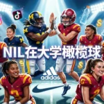 What Does NIL Stand For