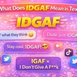 “IDGAF” Mean in Text