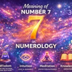 7 Means in Numerology