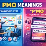 What Does PMO Mean