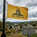 Don't Tread on Me Meaning