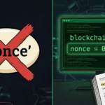 Nonce Meaning