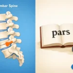 PARS Meaning Explained