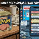 What Does Spam Stand For
